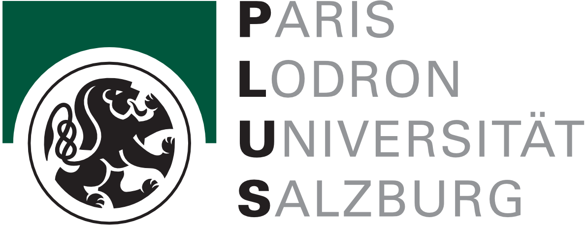 plus-logo